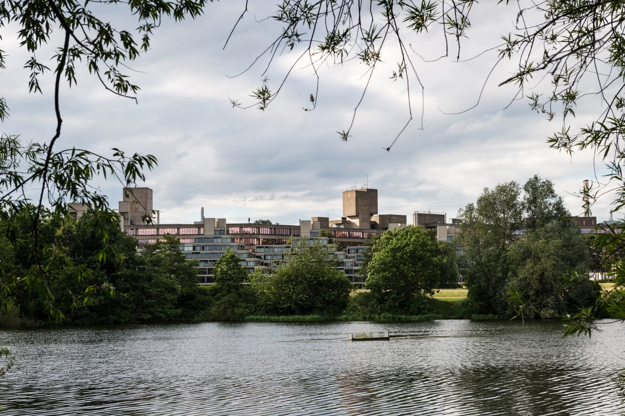 Near UEA